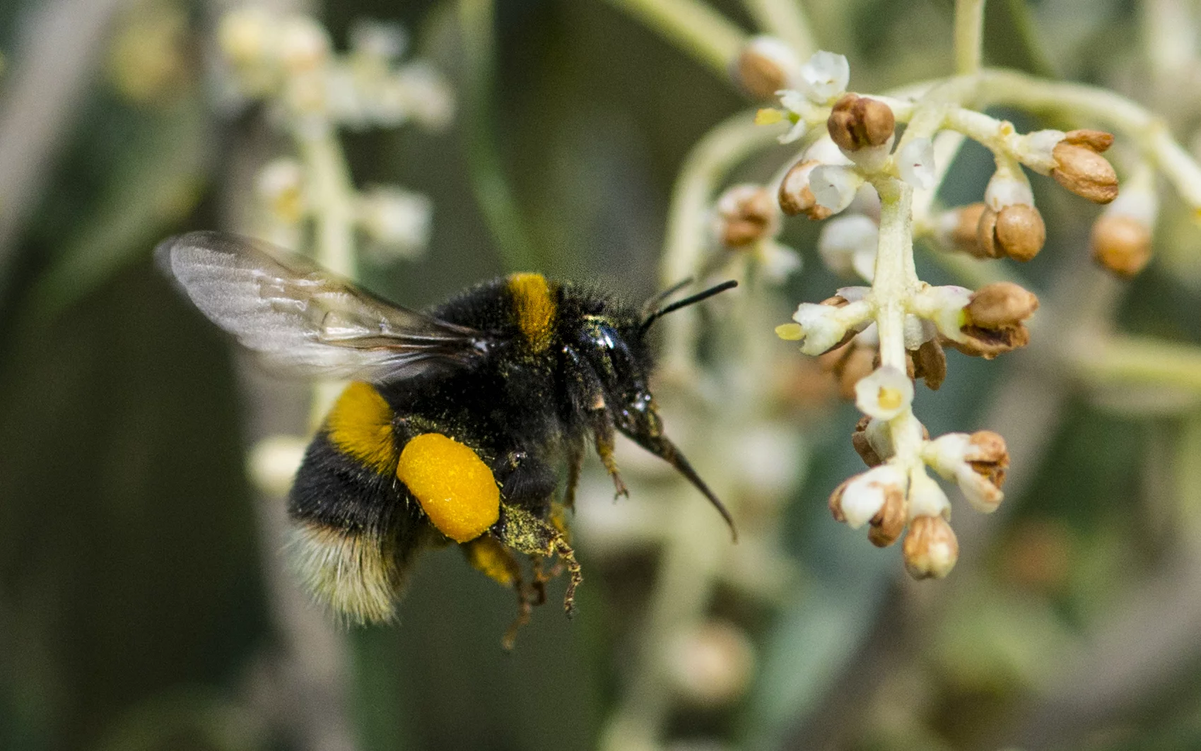 If you want to capture a fast moving subject without motion blur, you'll need a fast shutter speed