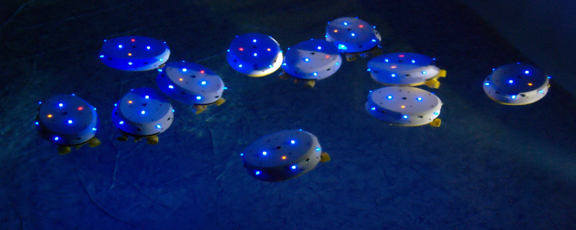 A group of "Lily" CoCoRo robots communicate with one another using their LEDs