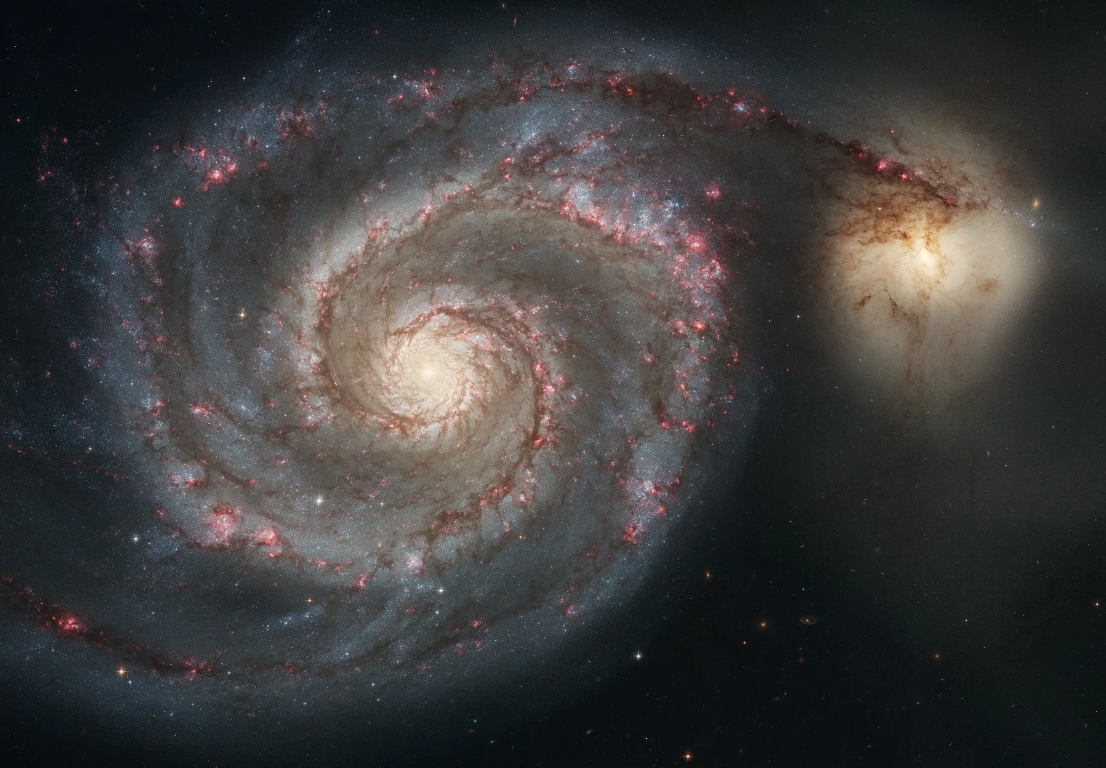 The graceful, winding arms of the majestic spiral galaxy M51 (NGC 5194) appear like a grand spiral staircase sweeping through space. They are actually long lanes of stars and gas laced with dust. This sharpest-ever image, taken in January 2005 with the Advanced Camera for Surveys aboard the NASA/ESAHubble Space Telescope, illustrates a spiral galaxy's grand design, from its curving spiral arms, where young stars reside, to its yellowish central core, a home of older stars