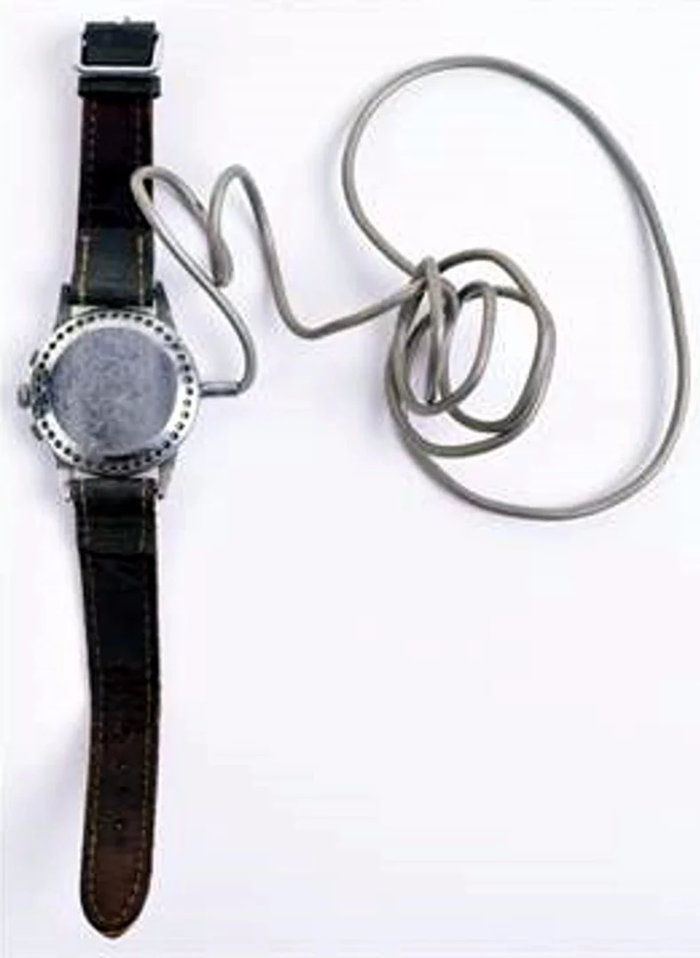 Back of the microphone watch