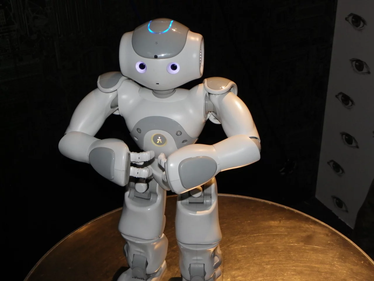 Nao, the versatile fool (Photo: Gizmag)