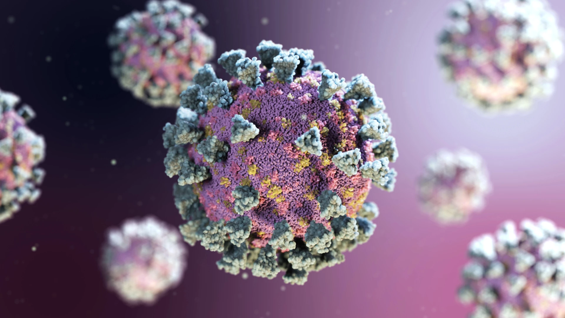 Scientists have found that avian flu viruses carry a gene that makes them unusually tolerant to heat, rendering one of our key immune defenses—fever—largely ineffective. Instead of slowing the infection, higher temperatures actually help these viruses reproduce.