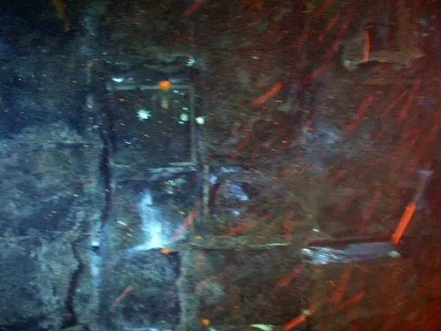 Visual inspection of one of the cargo holds revealed stacks of tea chests. A large cargo of tea (over 1,700 tons) is listed on the cargo manifest of the SS Gairsoppa
