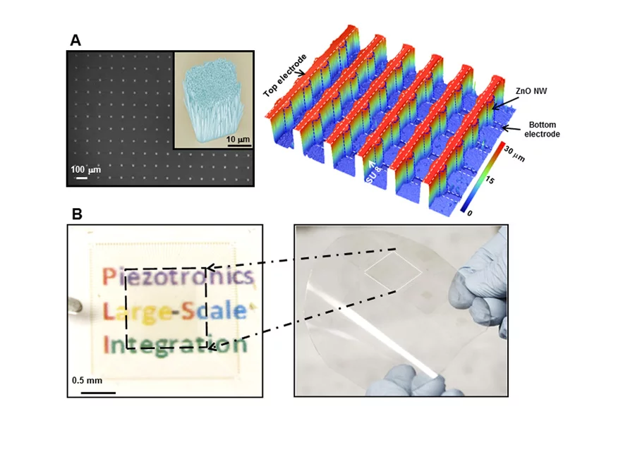 The material's heightened tactility comes from thousands of piezotronic transistors, each containing about 1,500 nanowires that are between 500 and 600 nanometers in diameter (Image courtesy of Zhong Lin Wang)