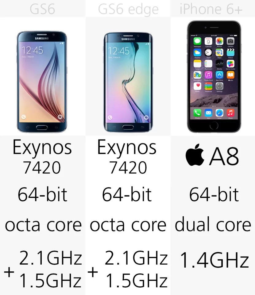 Processor
