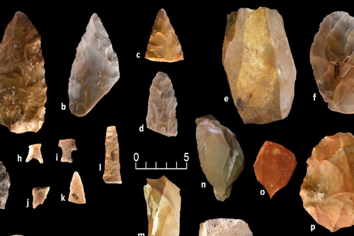 Archaeologists have uncovered stone tools dating back between 16,000 and 20,000 years