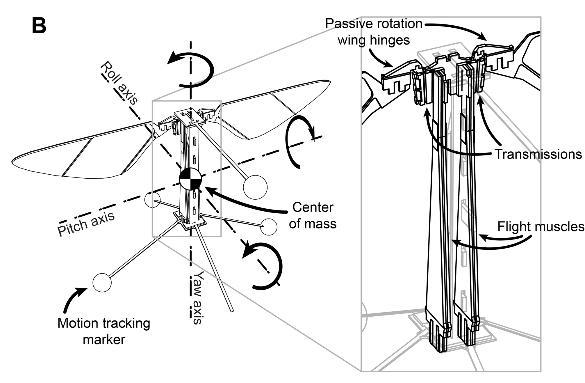 Harvard researchers developed a novel "pop-up" manufacturing method to produce sub-millimeter scale parts (Photo: Kevin Ma and Pakpong Chirarattananon)