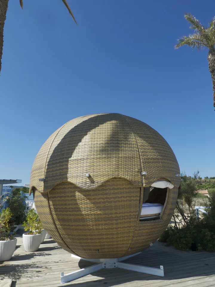 The Cocoon Tree Jungle edition