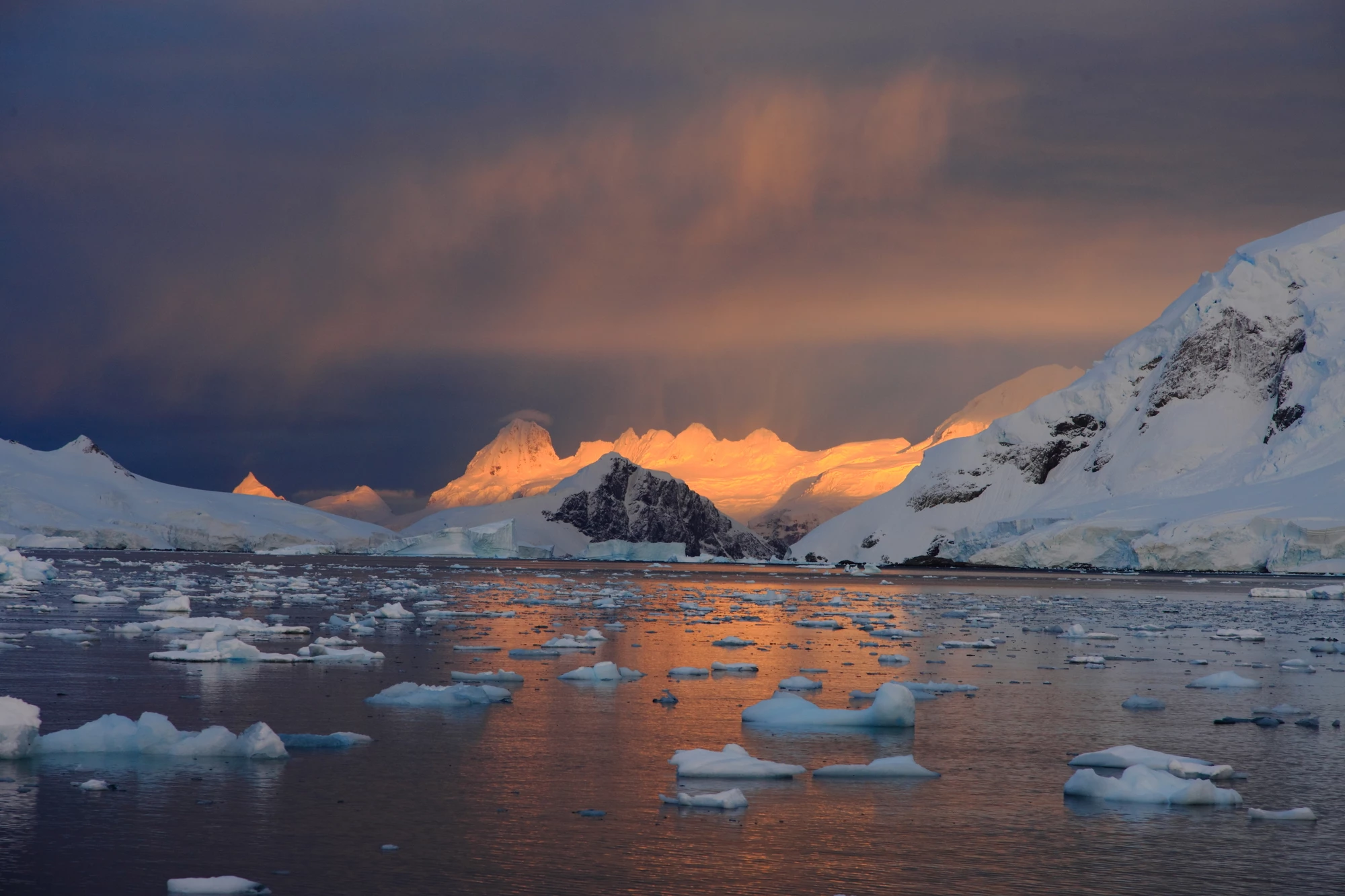 The World Meteorological Organization (WMO) has recognized a new record high temperature for the Antarctic continent