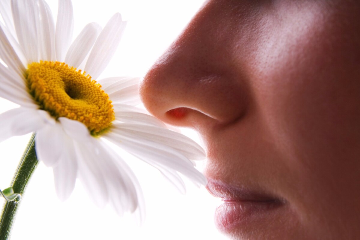 Early Stages Of Parkinson S Could Be Marked By Inability To Smell Gasoline Or Soap