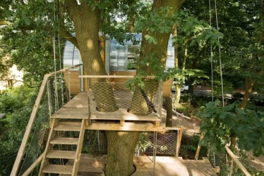 treehouse djuren