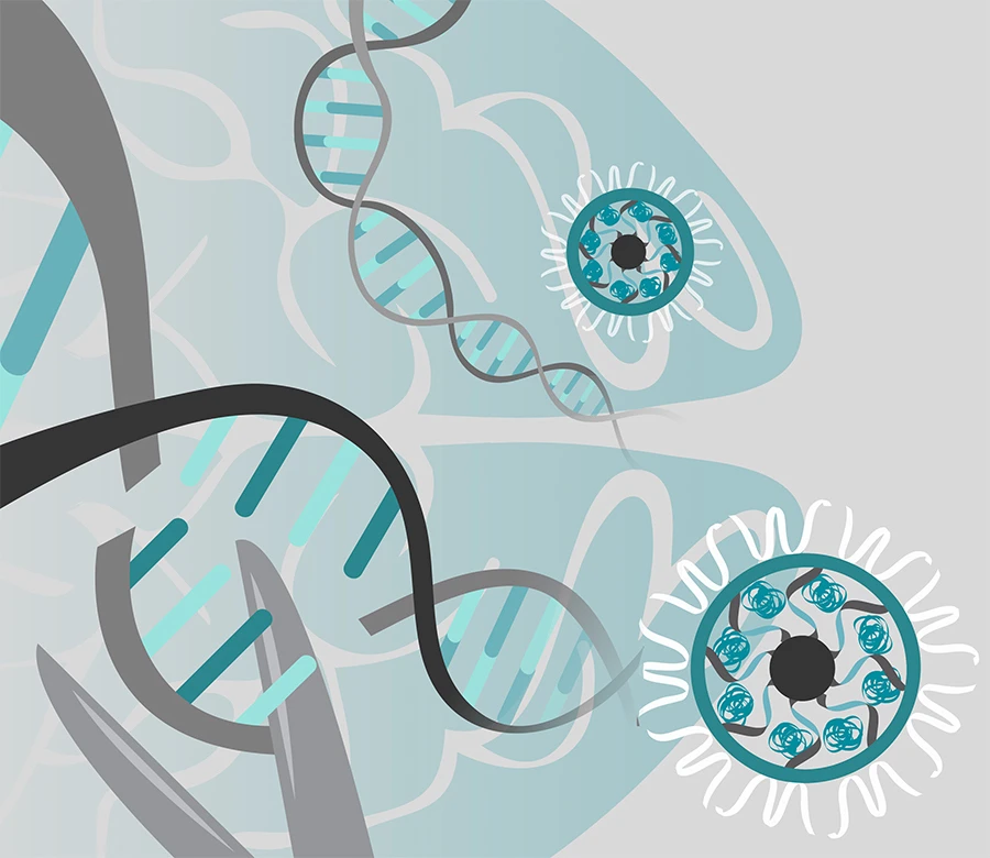 Using gold nanoparticles the researchers successfully edited a single gene associated with repetitive behaviors