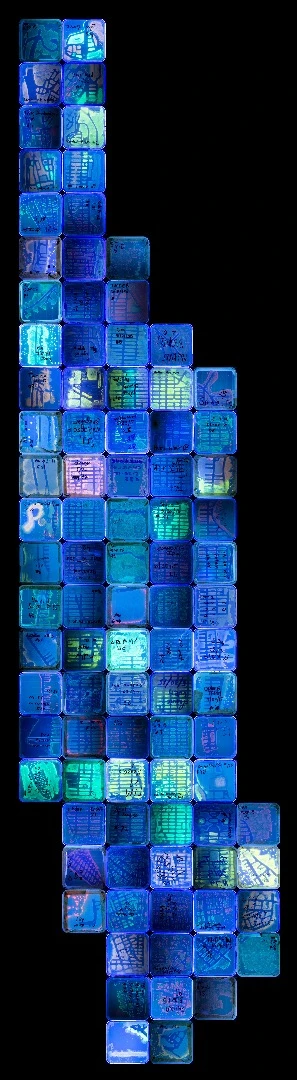 This is a map of New York city comprised of microbes gathered from each corresponding location