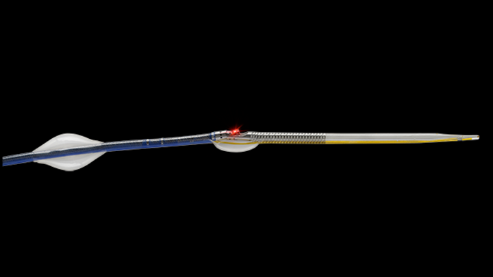 Pantheris received FDA approval in March