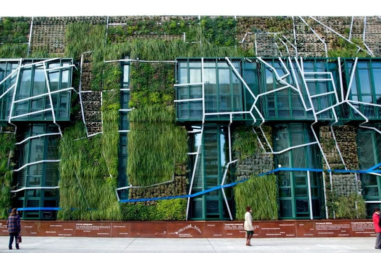 A font-view of the vertical garden and the frame