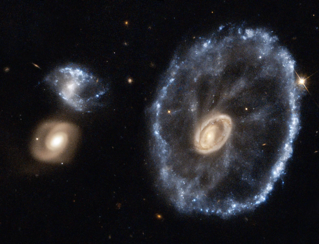 An image of the Cartwheel Galaxy taken with the Hubble Space Telescope