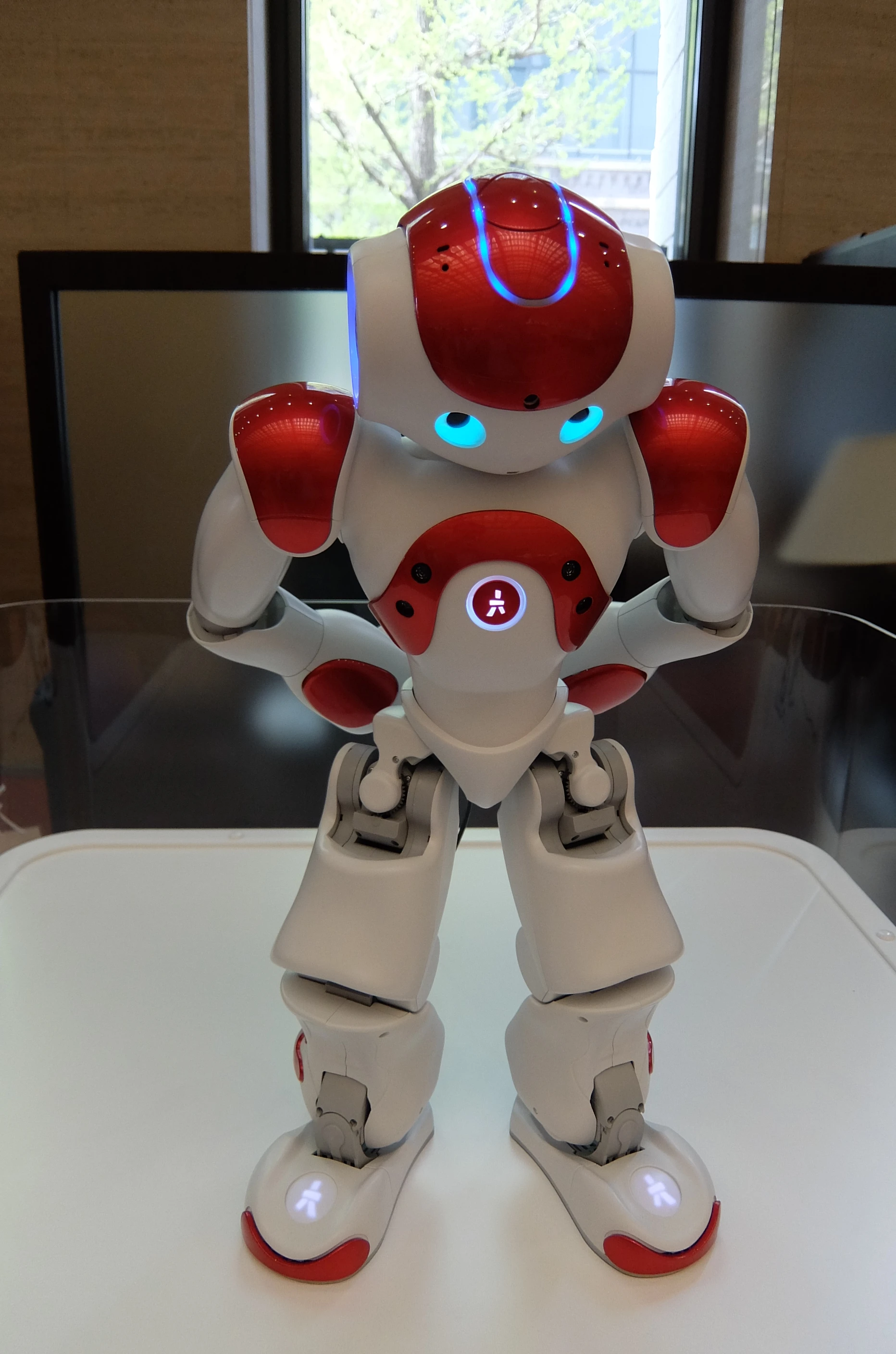 NAO bowed to customers to thank them for coming (Photo: Stephen Clemenger/Gizmag.com)