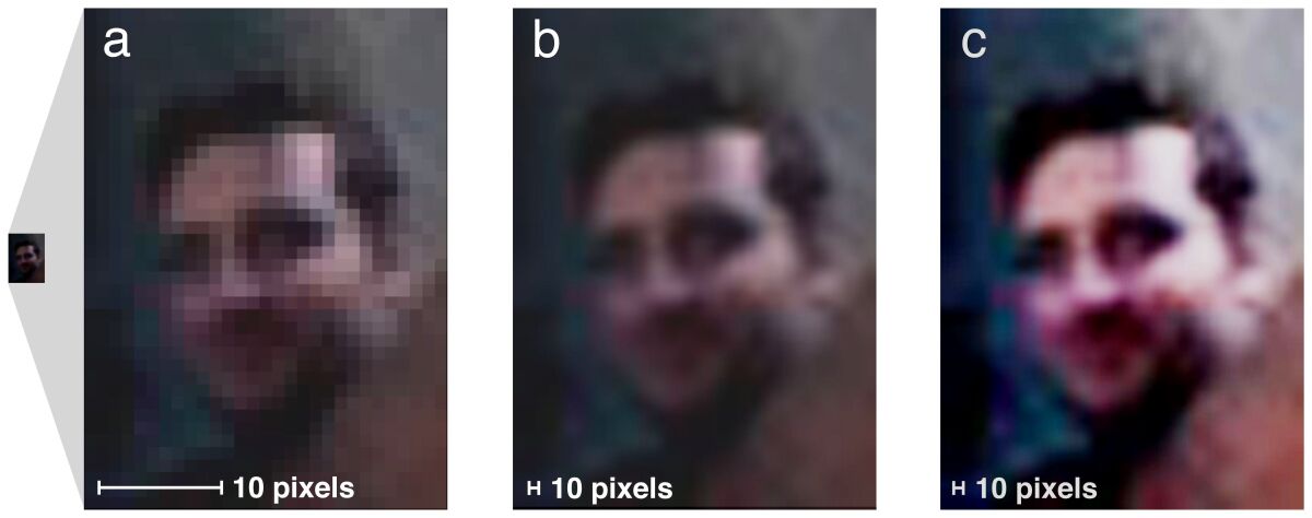 This series illustrates the image processing used in the Jenkins/Kerr study. On the left is the raw image from the lead photo, in the middle is the image following bicubic interpolation, and on the right is the middle image following PhotoShop Autocontrast manipulation (Photo: University of York)