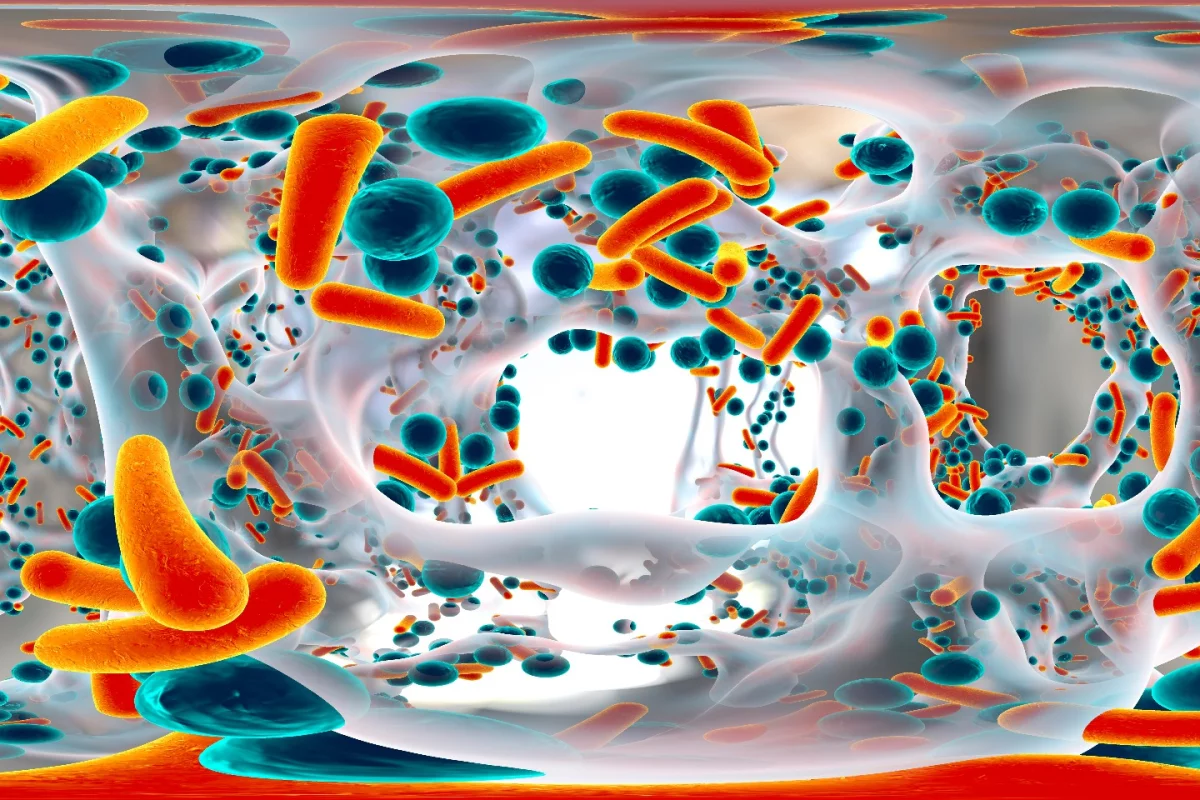 In a document released this week, the World Health Organization identified 12 bacterial time bombs that require immediate attention before they get out of hand