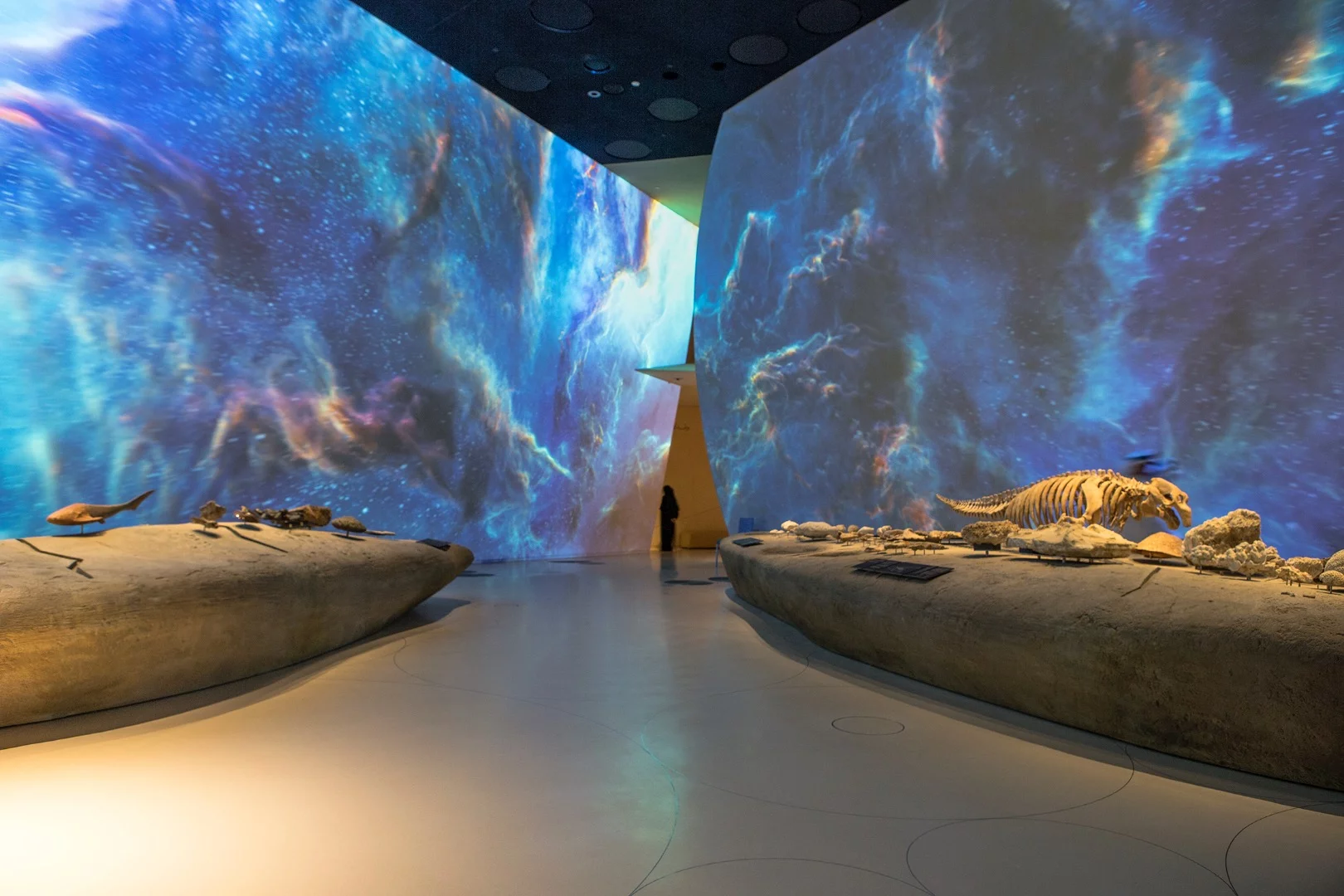 The National Museum of Qatar measures 350 m (1,148 ft)-long