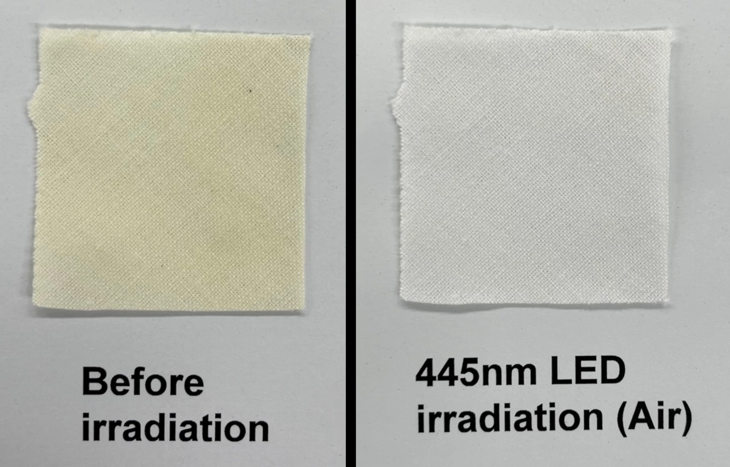 A squalene-stained cotton swatch before and after 10 minutes of blue light exposure