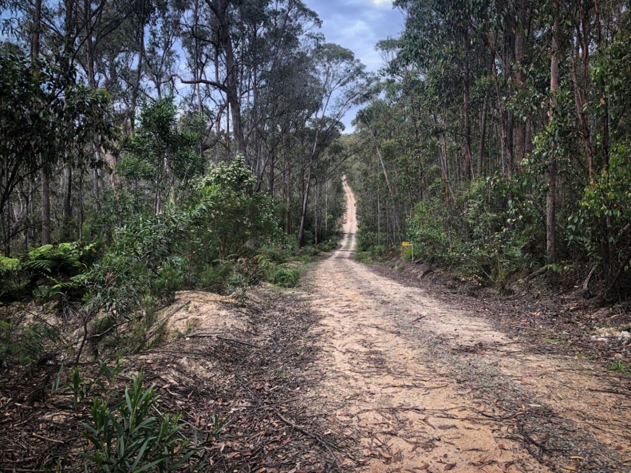 Fire road fun
