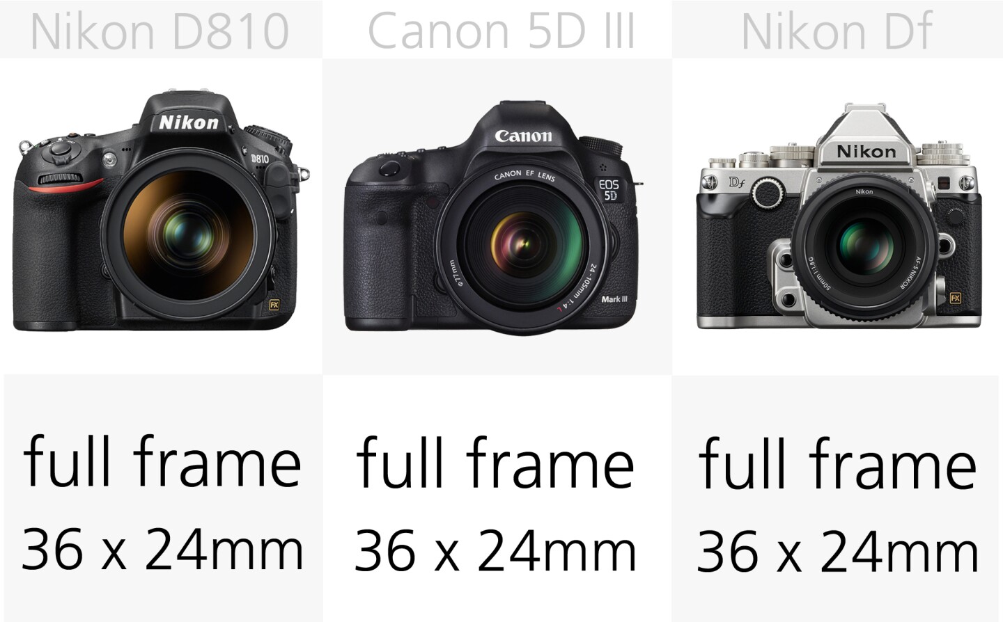 All of these cameras feature the same size 36 x 24 mm sensors
