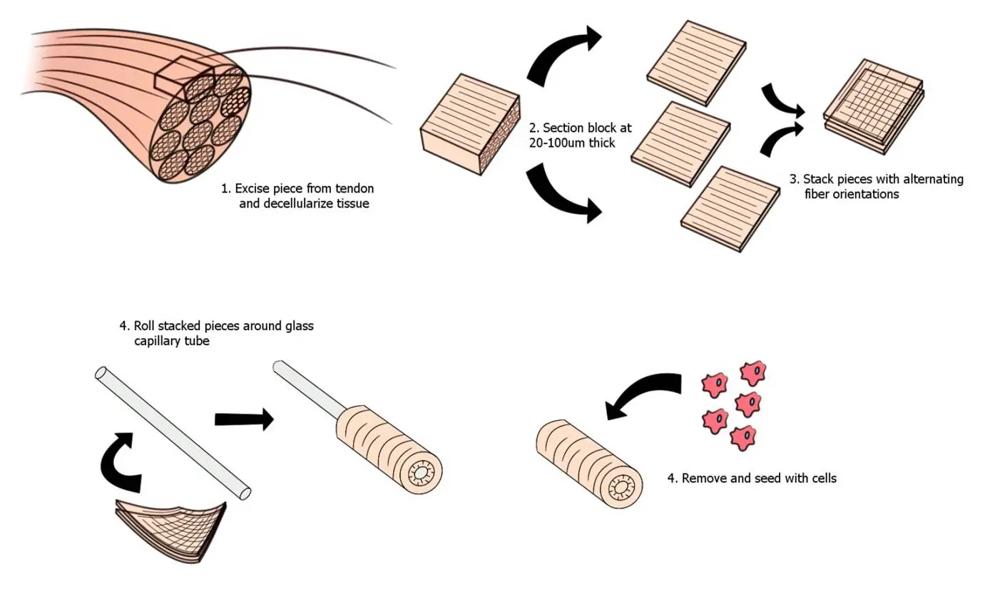 The bioskiving process (Image credit: Qiaobing Xu)