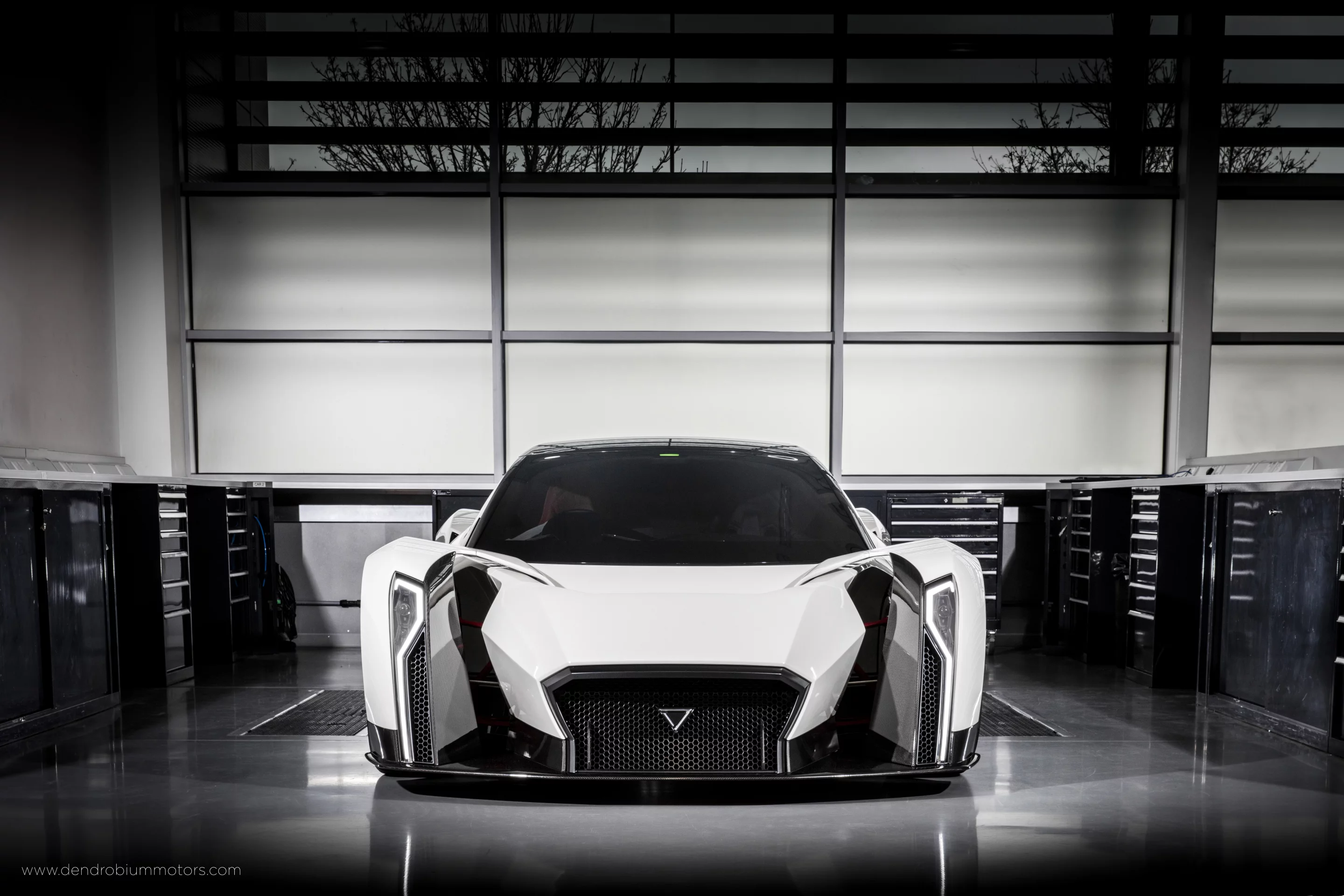 The Dendrobium, by Vanda Electrics: Singapore's first supercar