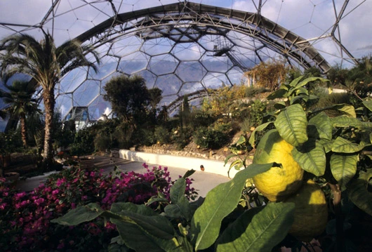 Eden Project Biome(Image by Eden Project)