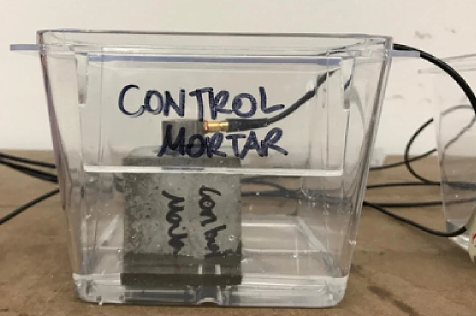 Researchers tested the structure of standard concrete and concrete that had be treated with s. pasteurii bacteria when exposed to road salt chemicals