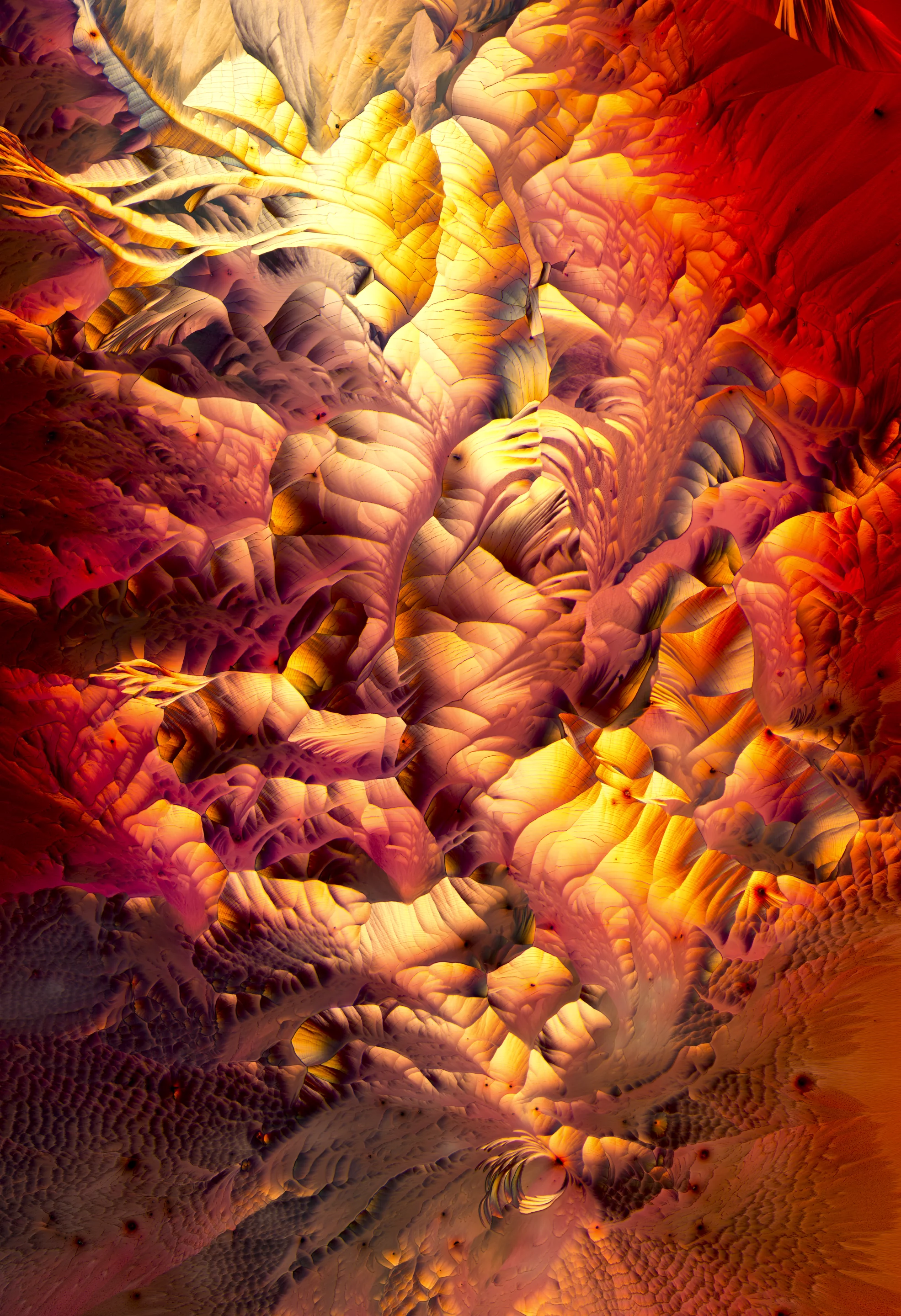 L-Glutamine and Beta alanine