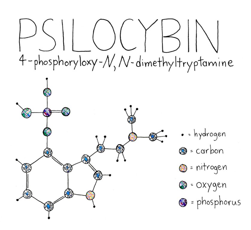 Psilocybin (Credit: tao lin Flickr CC BY 2.0)