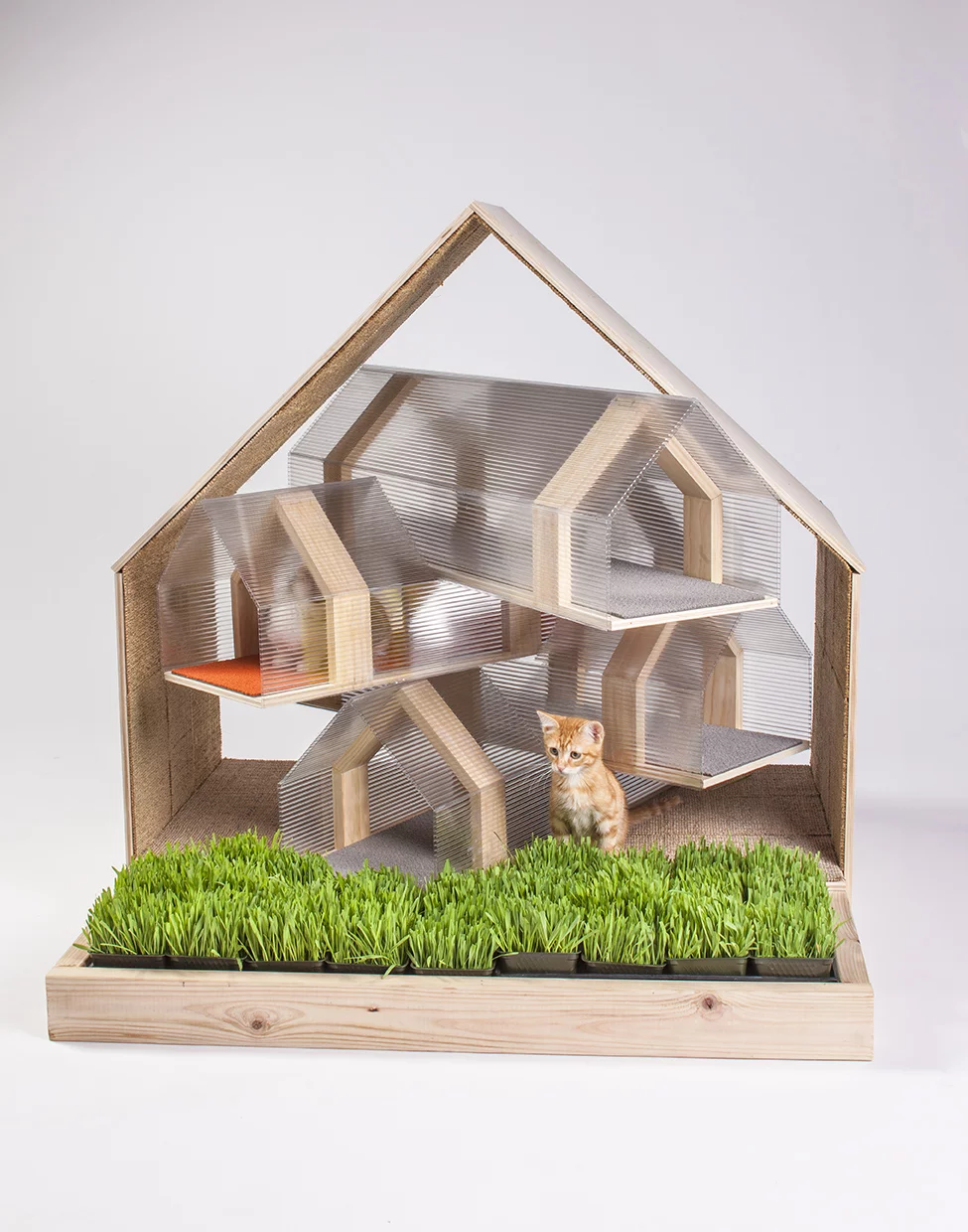 HOK's utilitarian communal shelter comes complete with faux grass (Photo: Grey Crawford)