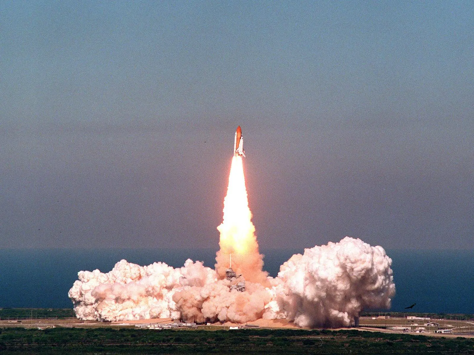 (Image: NASA)