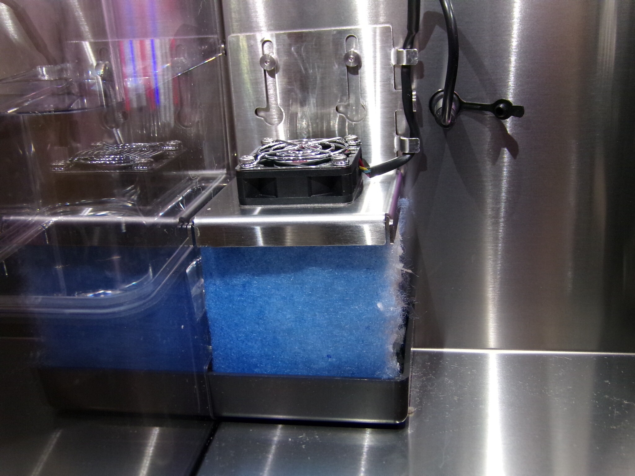 Review Mella fruiting chamber turns mushroom growing into home hobby