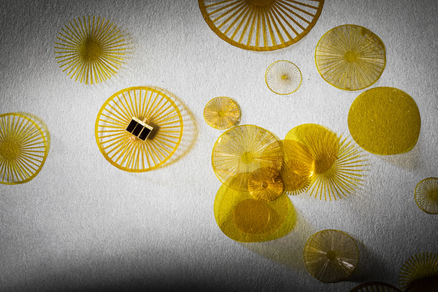 University of Washington scientists experimented with 75 designs for their novel sensors inspired by dandelion seeds