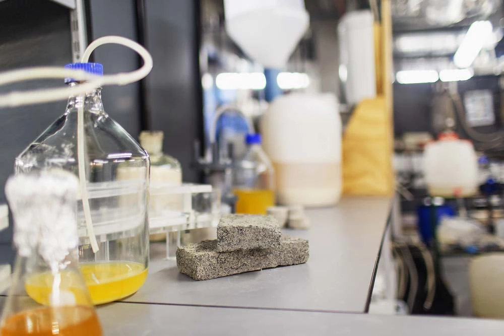Researchers say they can produce bricks of various strengths using human urine
