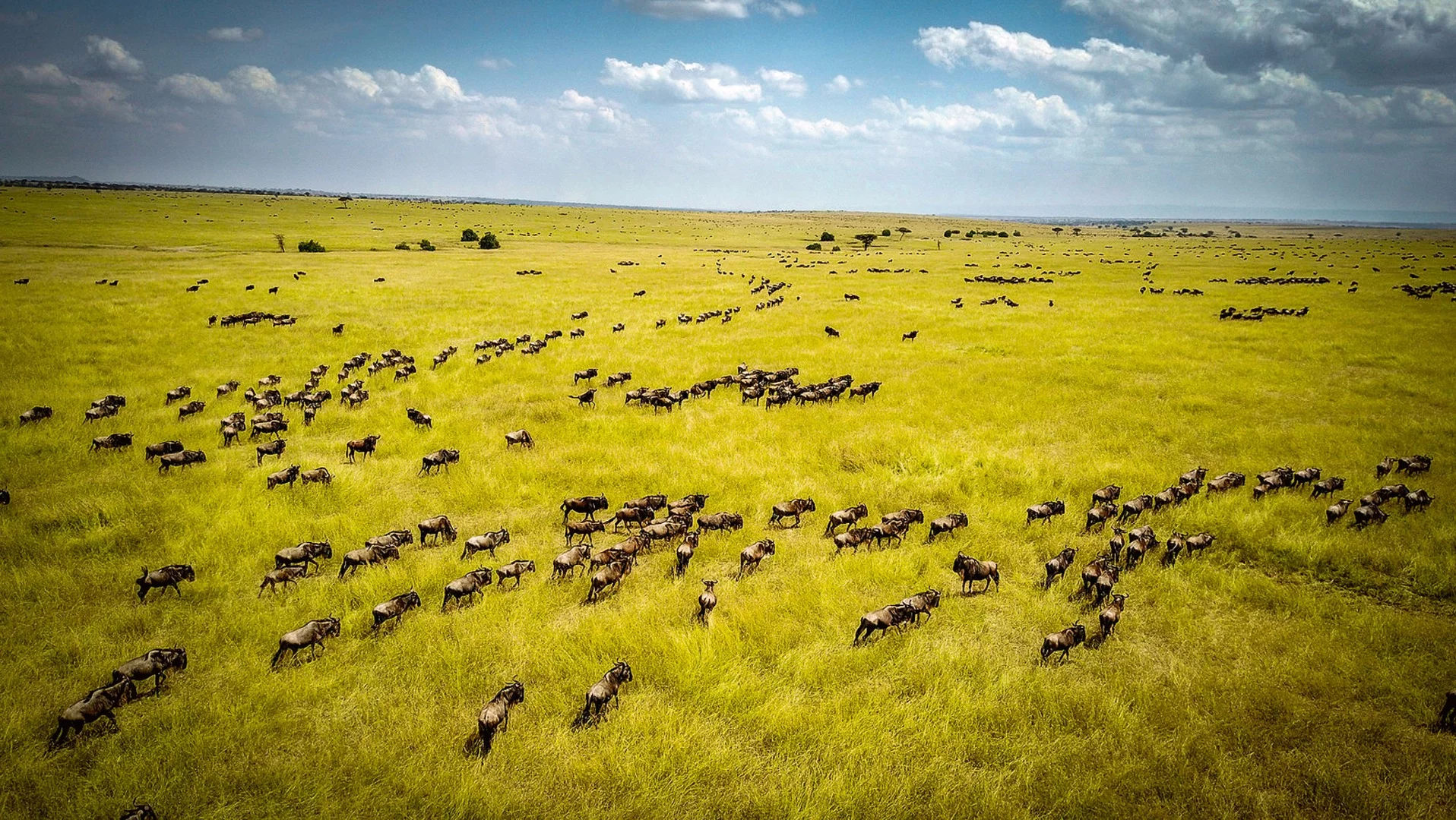 Porsche World Expedition 2018: Leg 3 covers 4,700 km from Johannesburg to Serengeti