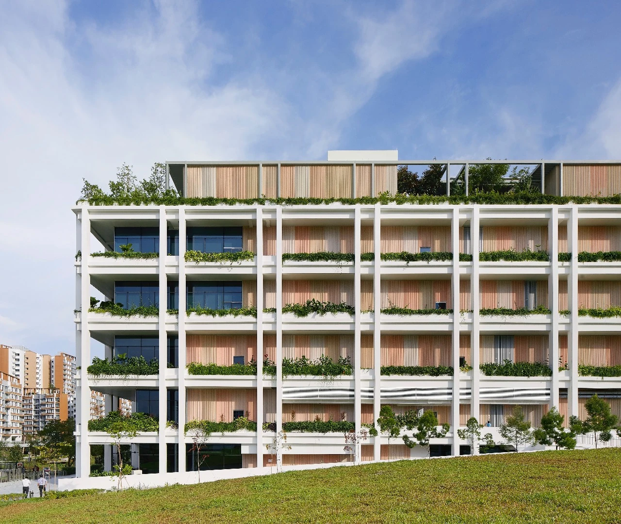Oasis Terraces includes a community center, health clinics, restaurant and retail spaces
