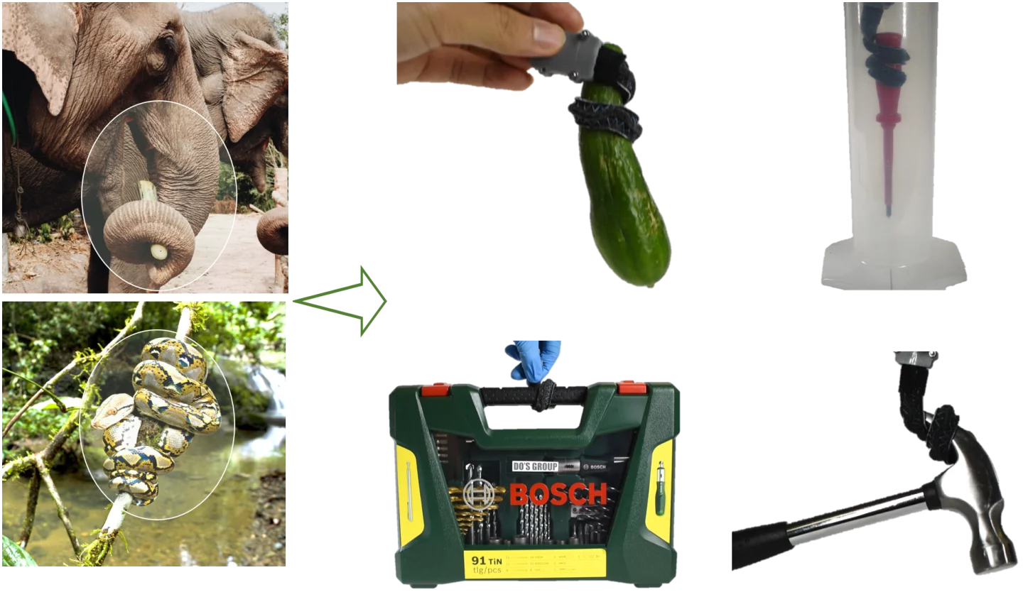 The gripper is made from soft fabric and uses miniaturized hydraulics to grab objects of different sizes and weights