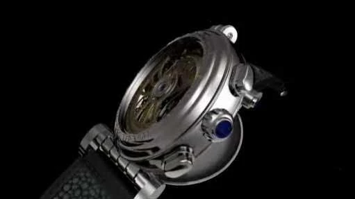 The Dubey & Schaldenbrand Spiral-verso VIP