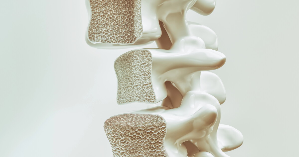 Turning fat cells into bone heals fractures and reverses frailty