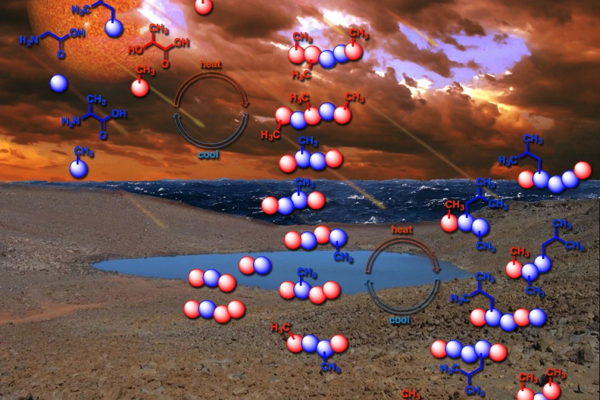 To study how life might have originally emerged on Earth, researchers have found that drying out and rewetting the primordial soup could help molecules form longer and more advanced peptides