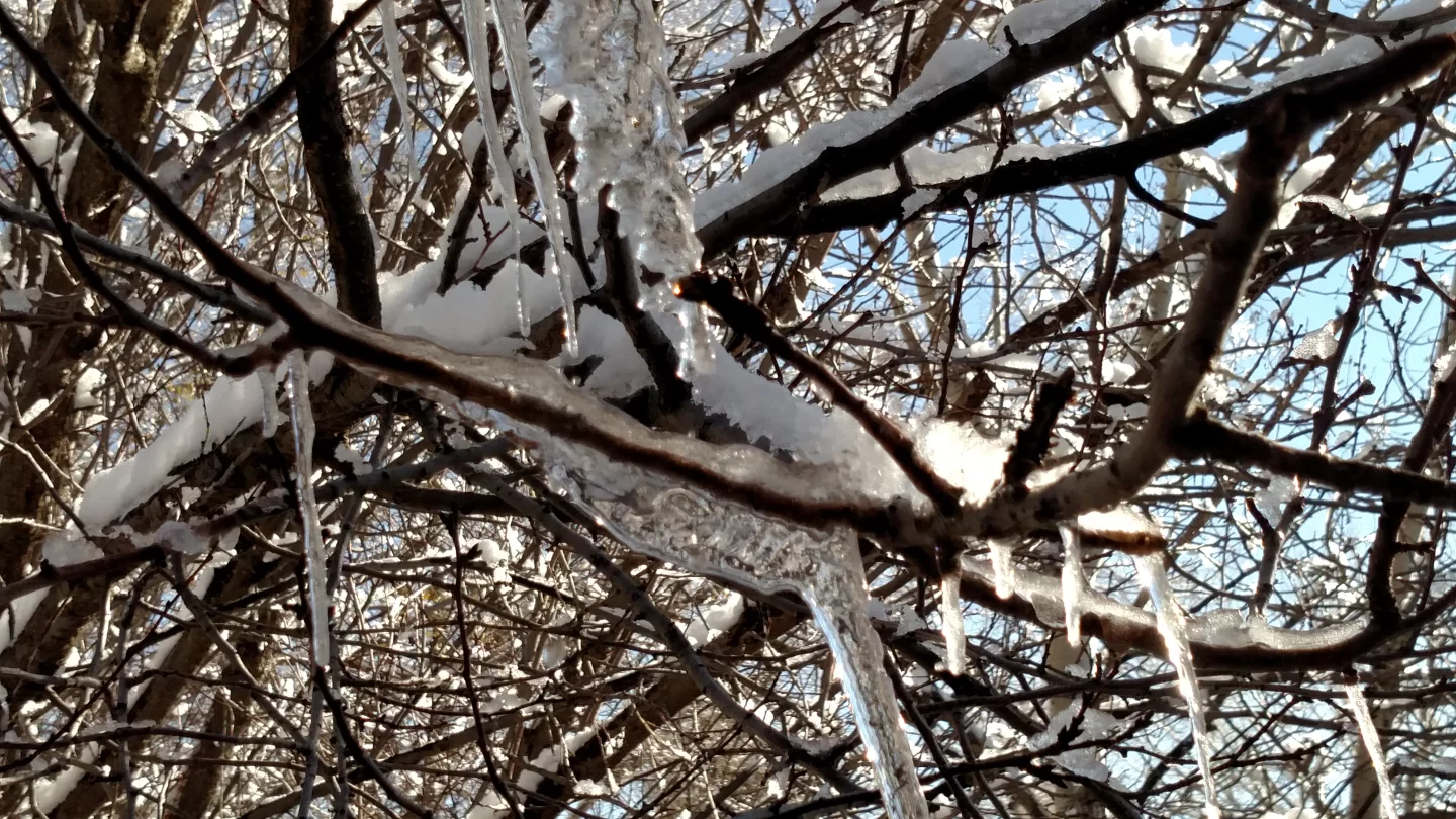 Neither auto-focus nor digital zoom are perfect (Photo: Eric Mack/Gizmag.com)