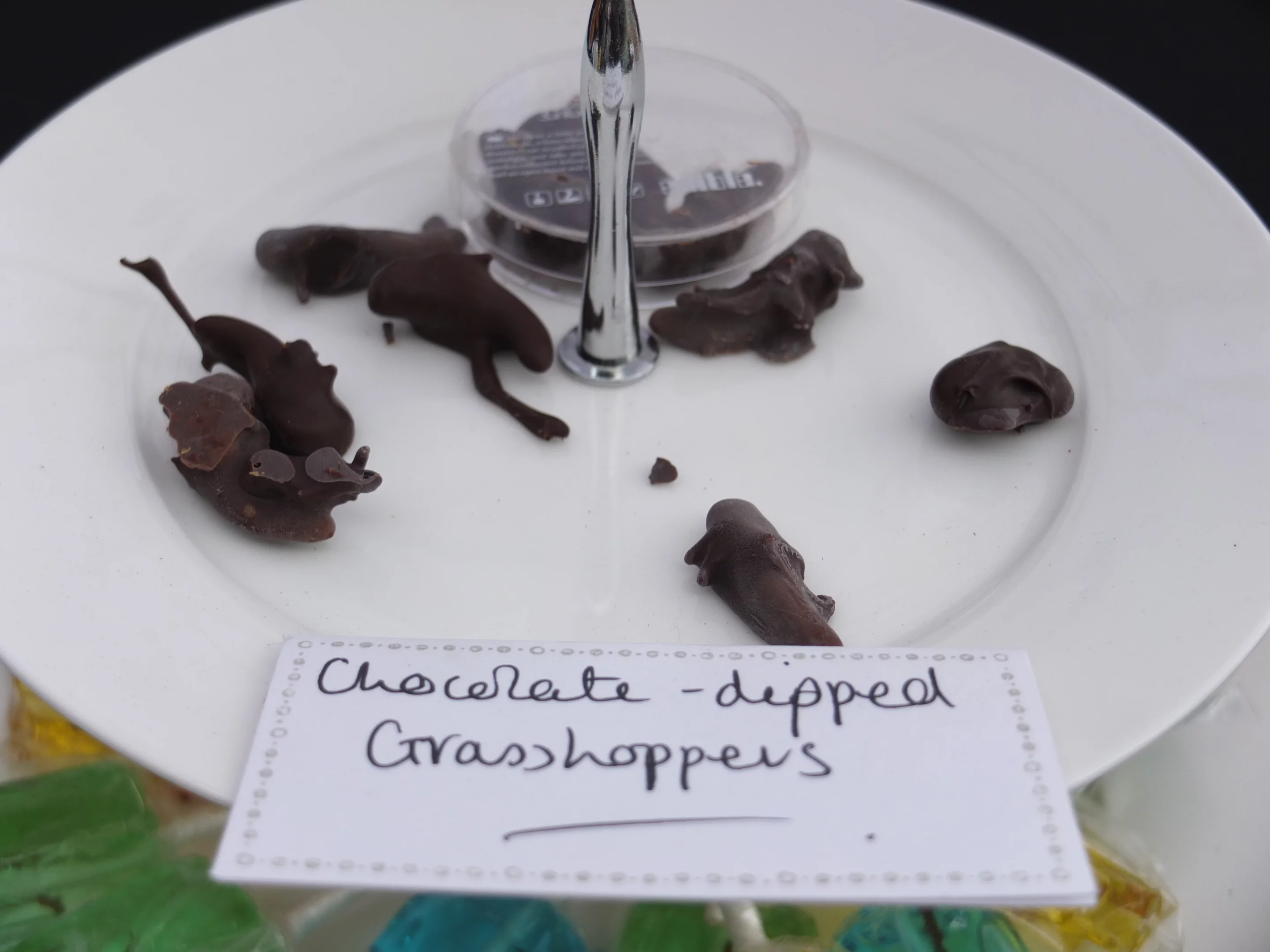 Grasshoppers, it turns out, don't stand up to the taste of chocolate (Photo: Gizmag)