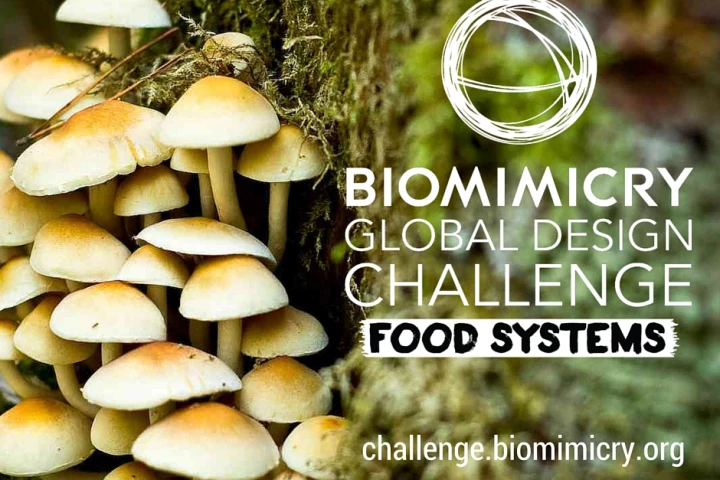 The eight finalists will present their projects at SXSW Eco in Austin, Texas (October 5-7)