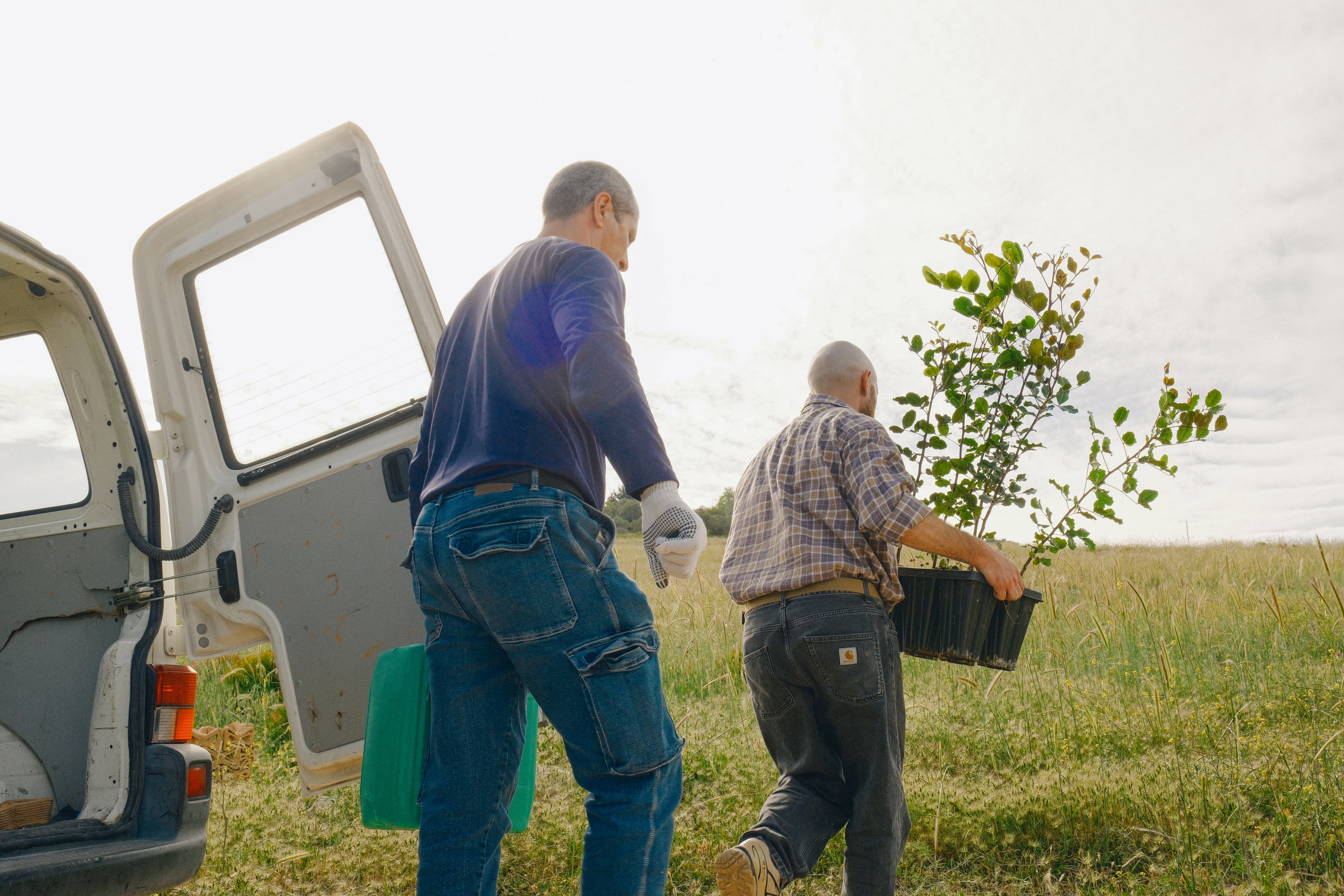 As the tree grows, TreeSoil slowly dissolves back into the land, enriching the ground it once protected