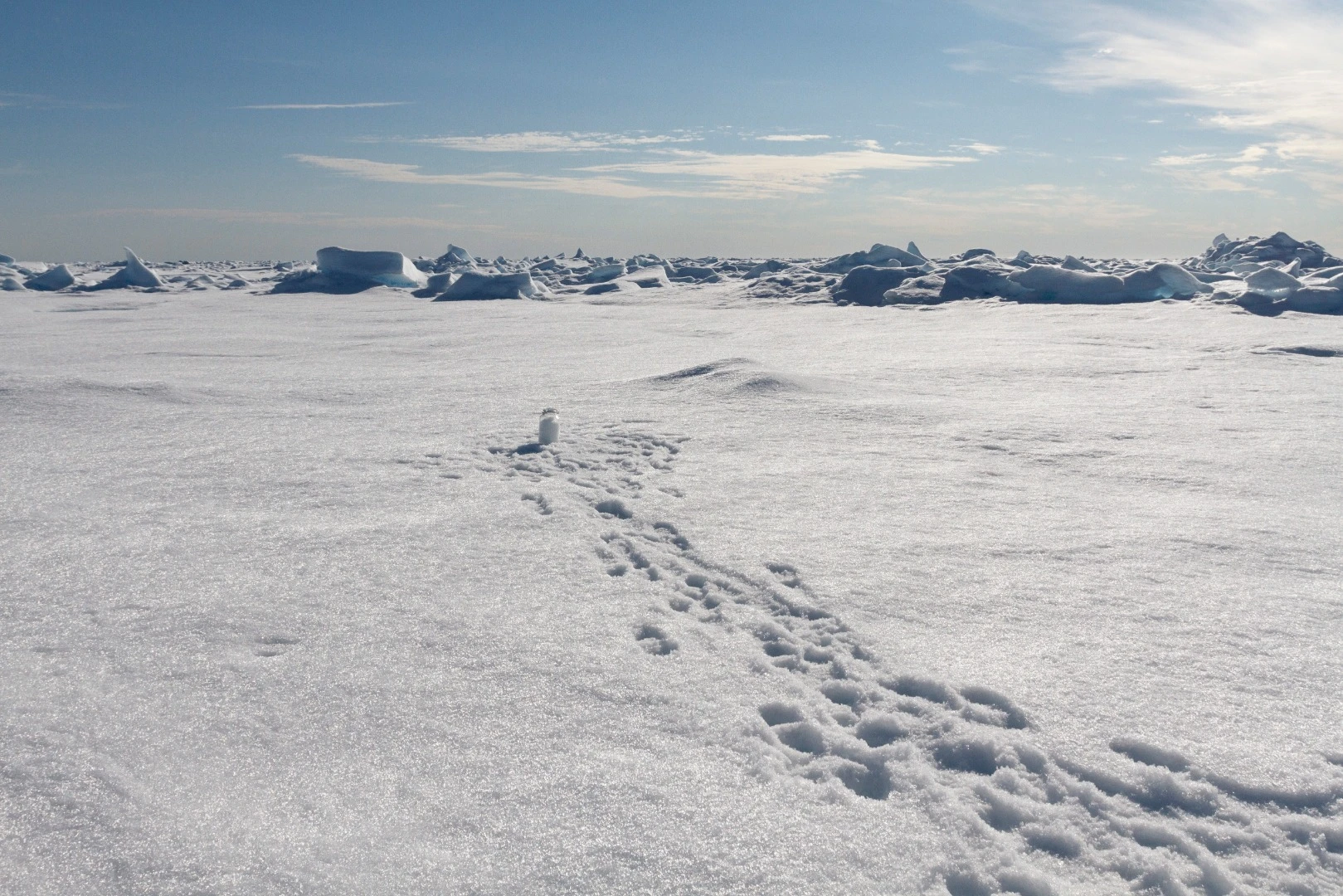 Snowy, with a good chance of microplastics