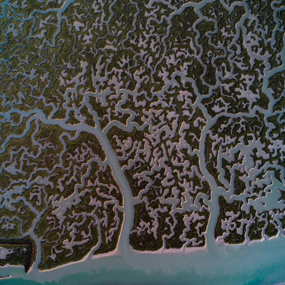 Marshland of Cadiz Bay at blue hour. Cadiz, Spain